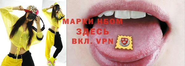 твердый Аркадак