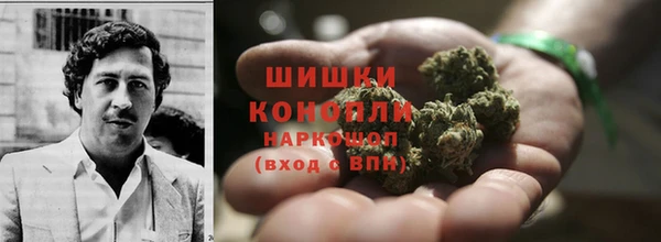 твердый Аркадак