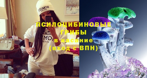 твердый Аркадак