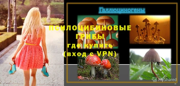 твердый Аркадак