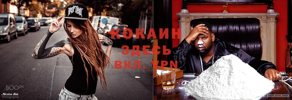 дмт Армянск