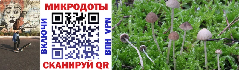 Галлюциногенные грибы Psilocybine cubensis Людиново